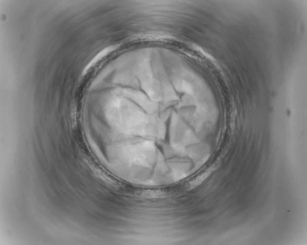 X0000085231306200704091947