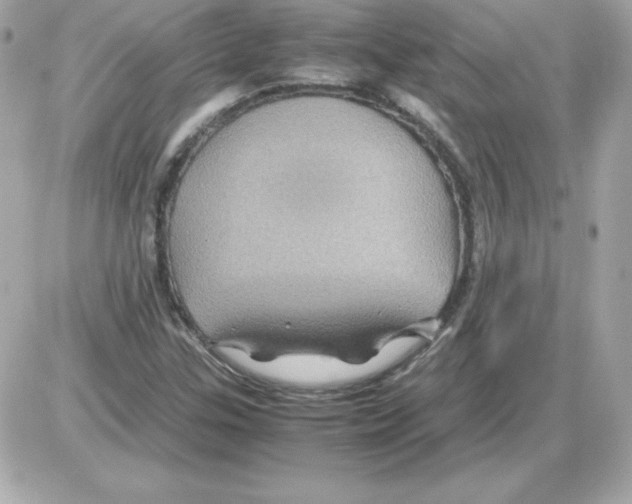 X0000085231307200704091947
