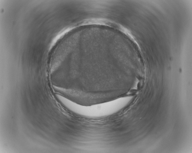 X0000085231312200704091947