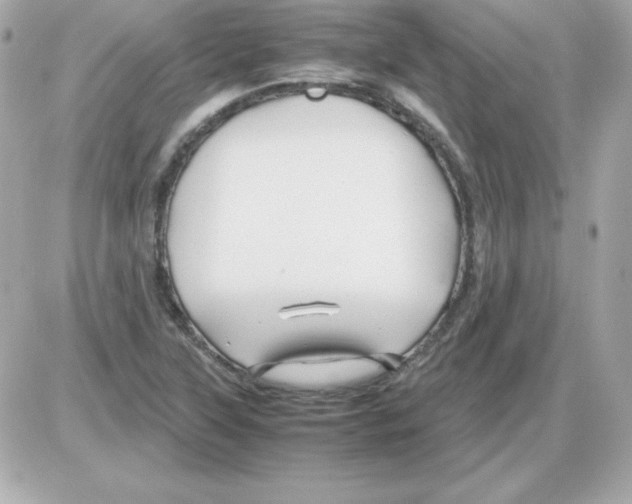 X0000085231315200704091947