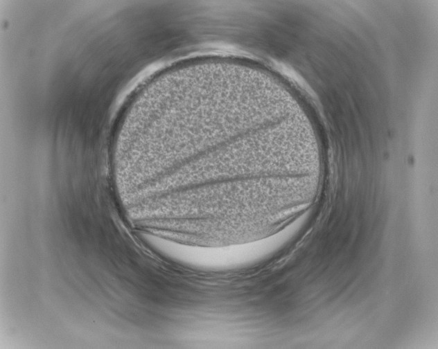 X0000085231318200704091947