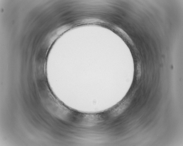 X0000085231322200704091947
