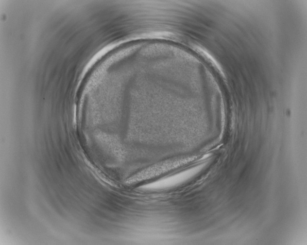 X0000085231324200704091947