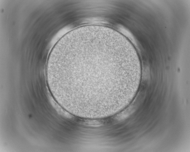 X0000085231338200704091947