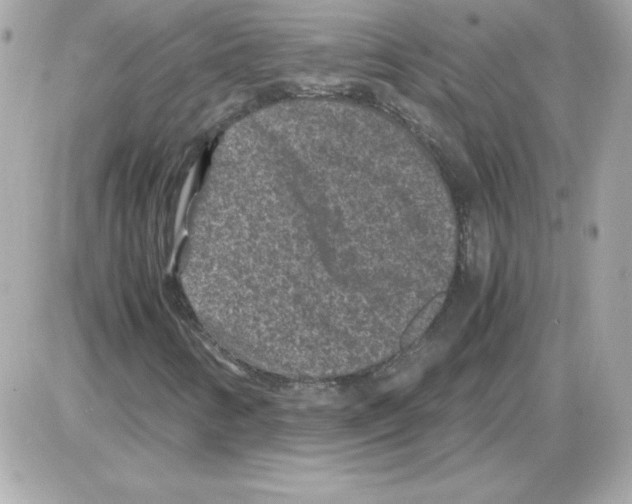 X0000085231346200704091947