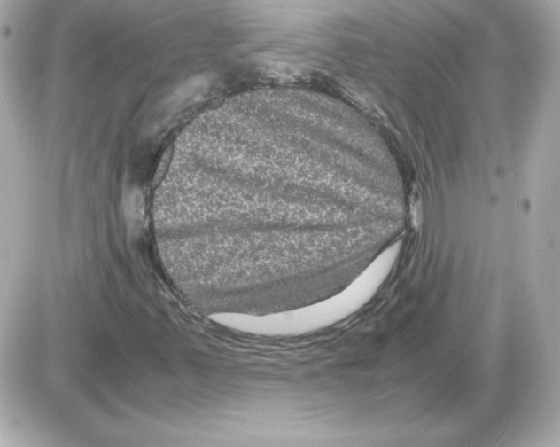 X0000085231347200704091947