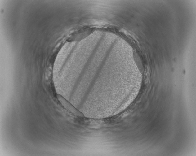 X0000085231349200704091947