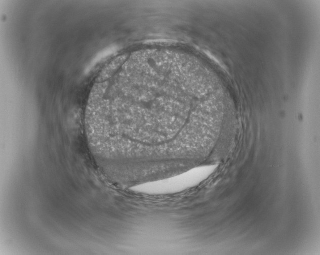 X0000085231351200704091947