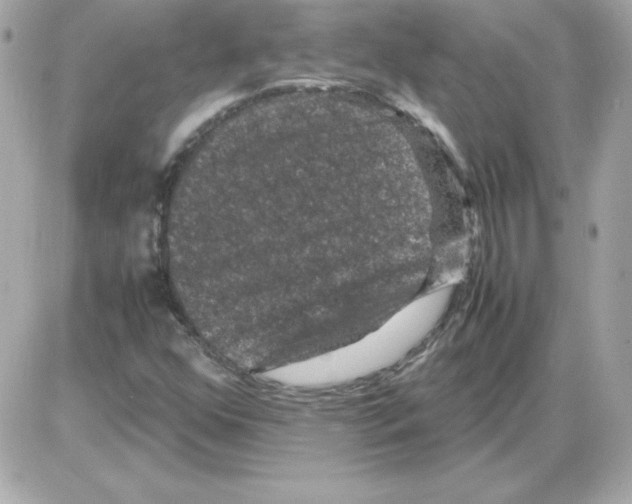 X0000085231352200704091947