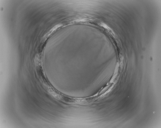 X0000085231353200704091947