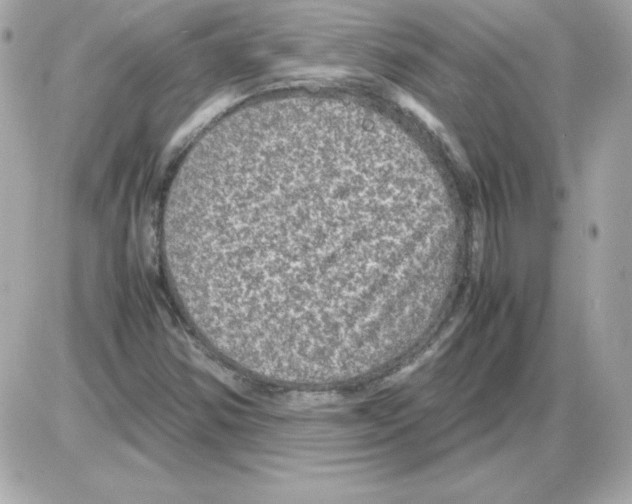 X0000085231354200704091947