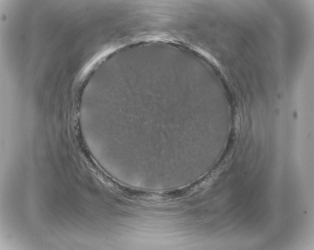 X0000085231359200704091947