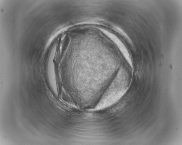 X0000085231360200704091947