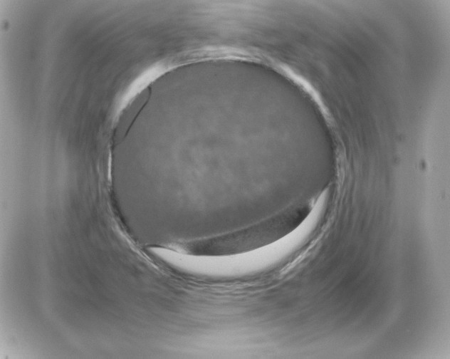 X0000085231365200704091946