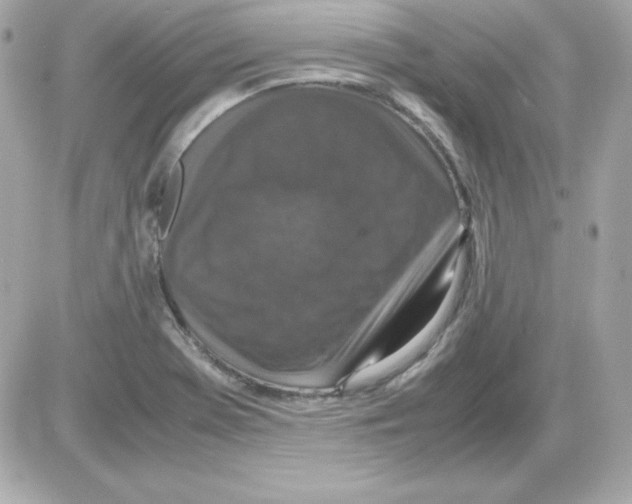 X0000085231369200704091946