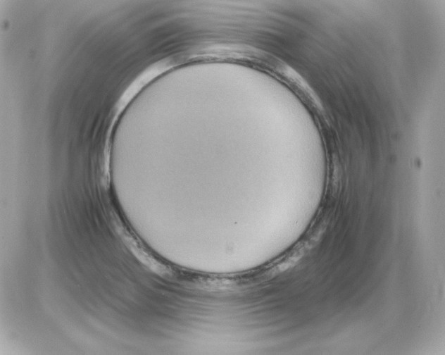 X0000085231370200704091946