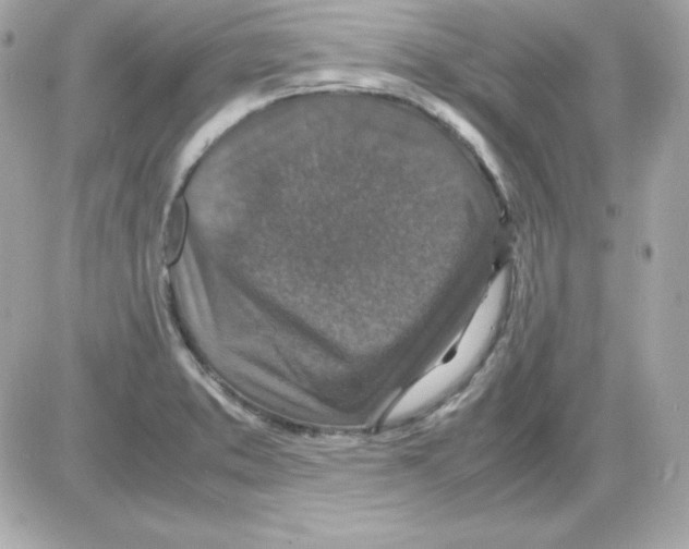 X0000085231373200704091946