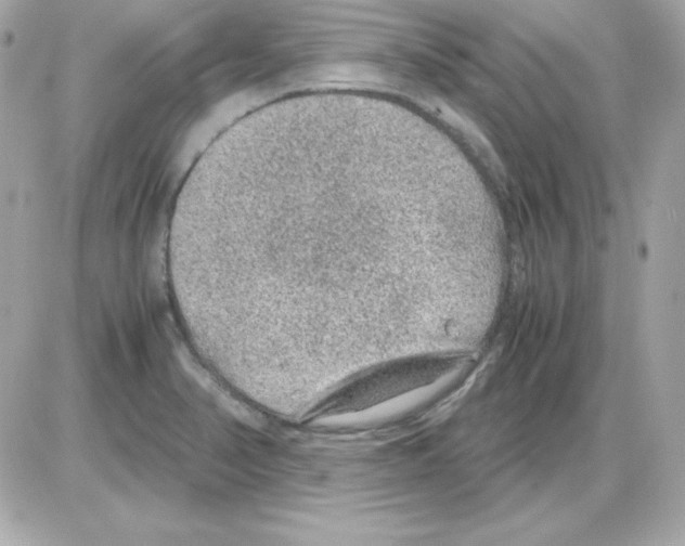 X0000085231374200704091946