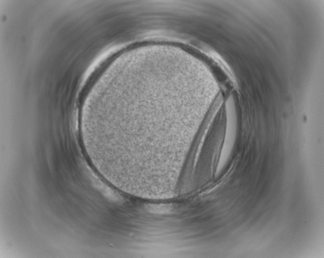 X0000085231376200704091946