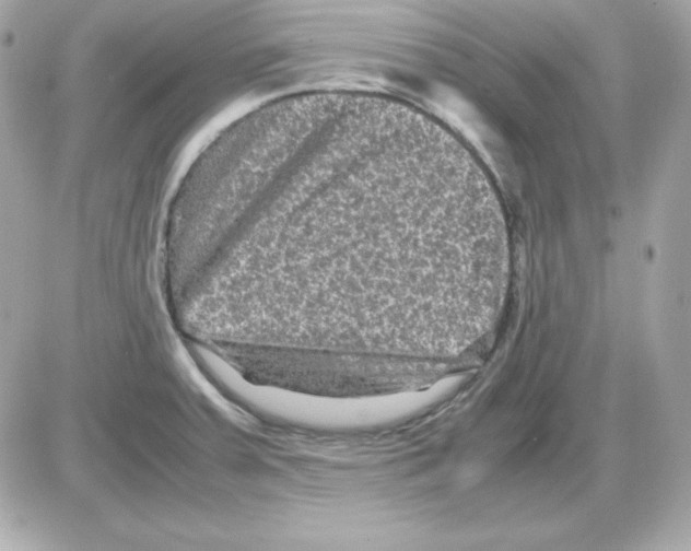 X0000085231379200704091946