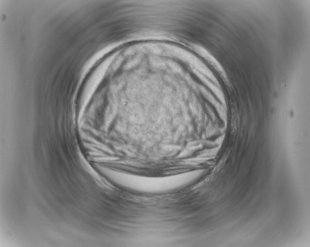 X0000085231380200704091946