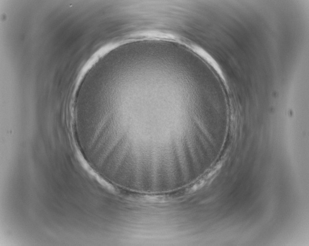 X0000085231381200704091946