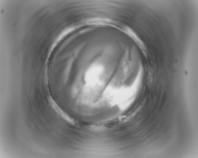 X0000085231384200704091946