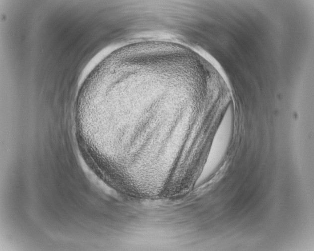 X0000085231389200704091946