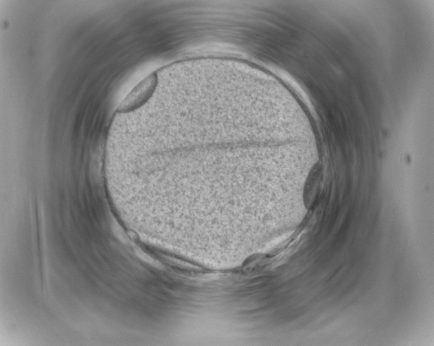 X0000085231390200704091946
