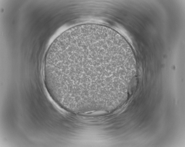 X0000085231391200704091946