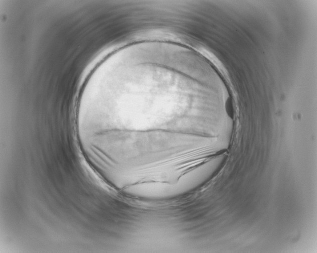 X0000085231392200704091946