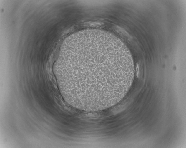 X0000085231395200704091945