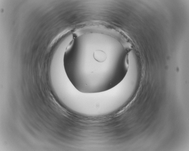X0000085231402200704091945