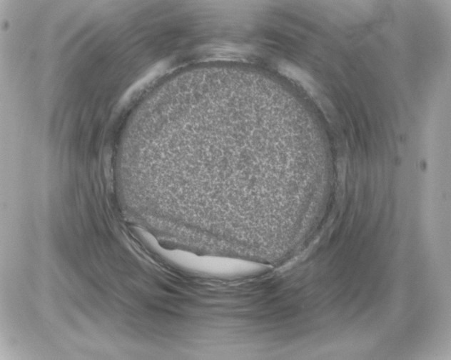 X0000085231403200704091945