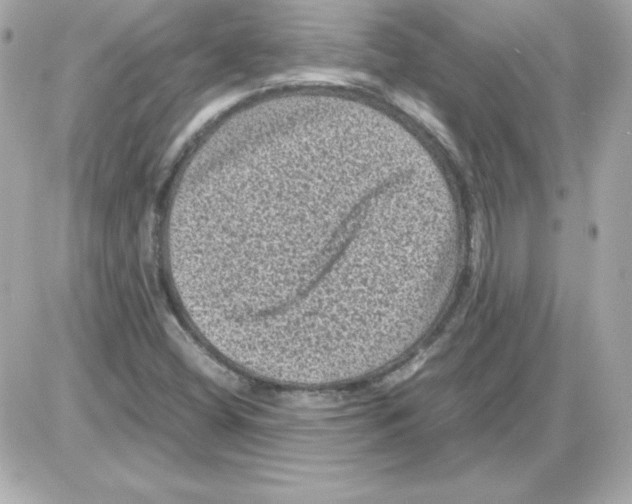 X0000085231404200704091945