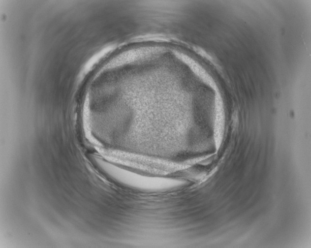 X0000085231406200704091945