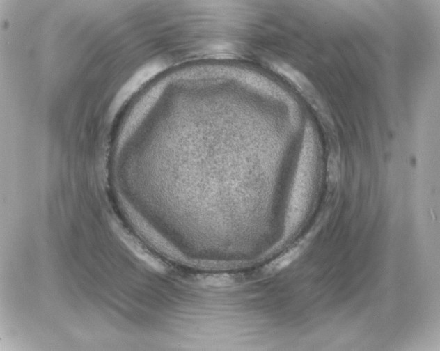 X0000085231410200704091946