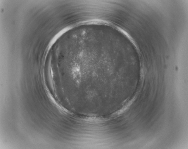 X0000085231418200704091946