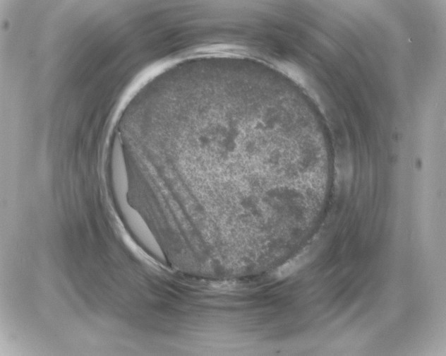 X0000085231421200704091946