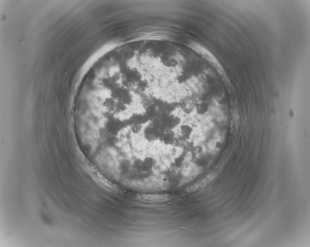 X0000085231427200704091946