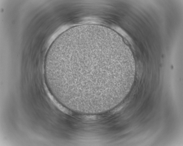 X0000085231431200704091946