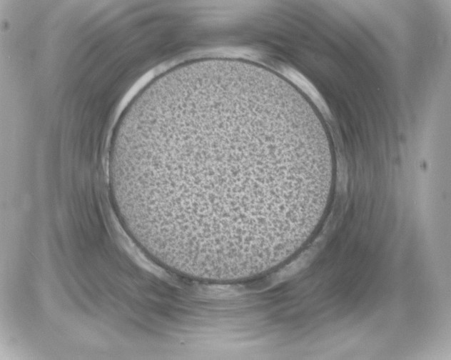 X0000085231436200704091946