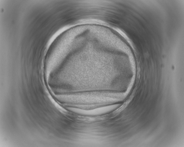 X0000085231438200704091946