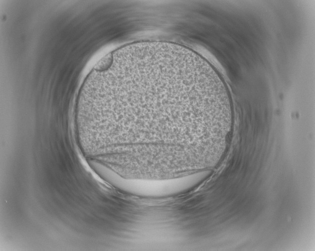 X0000085231440200704091946