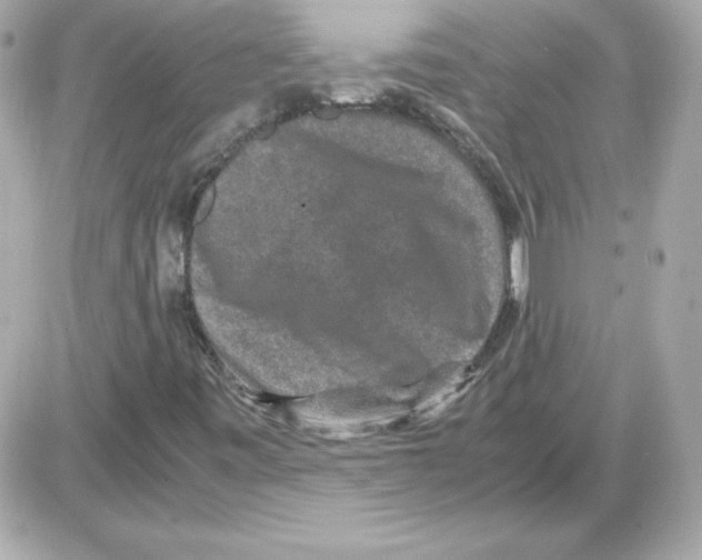 X0000085231443200704091945