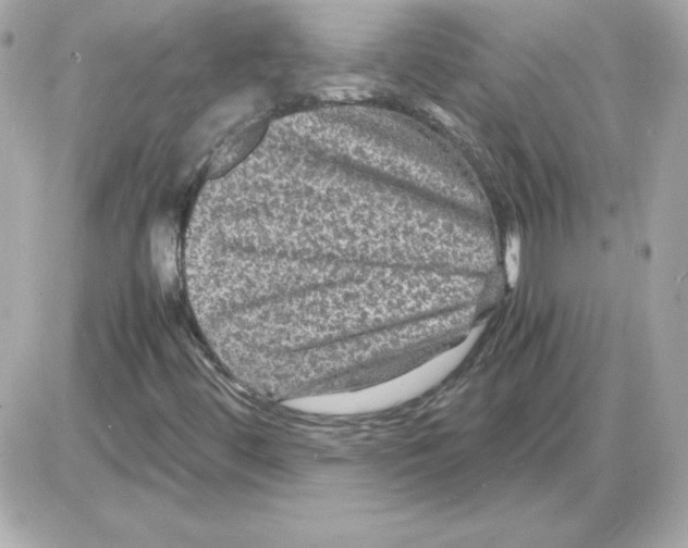 X0000085231444200704091945