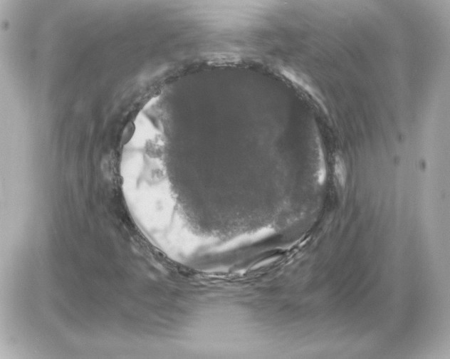X0000085231445200704091945