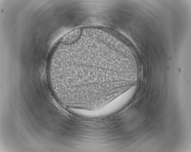 X0000085231452200704091945