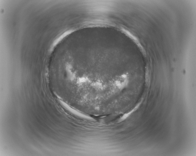 X0000085231453200704091945