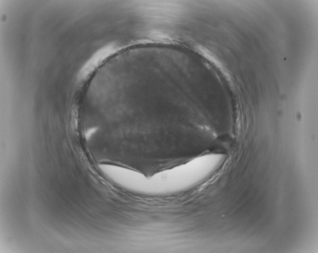 X0000085231455200704091945